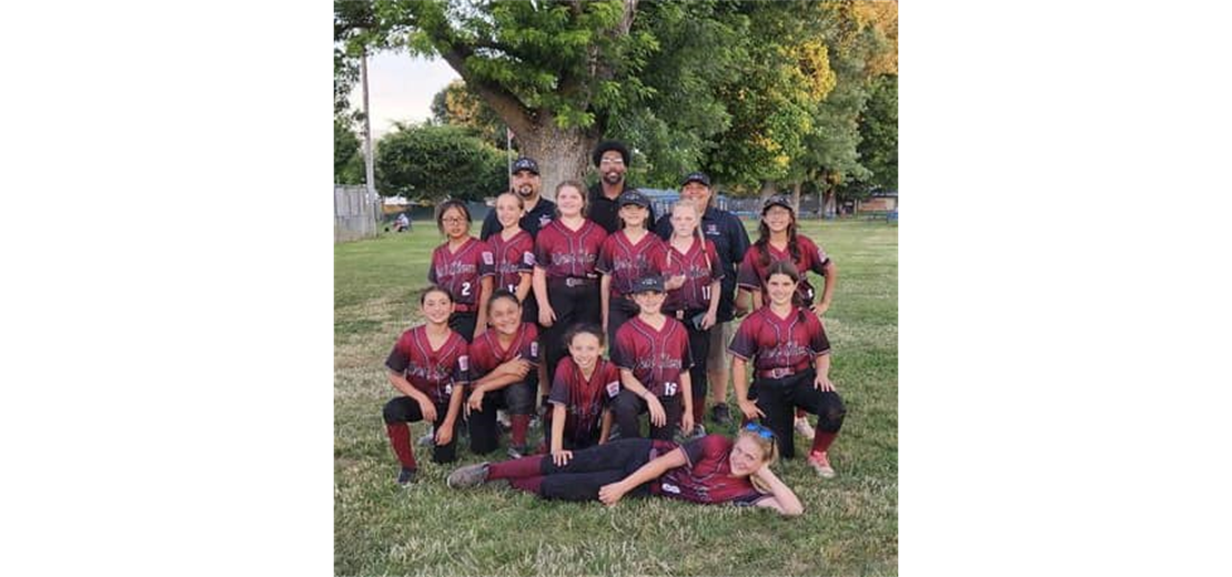 Minors Softball All Stars